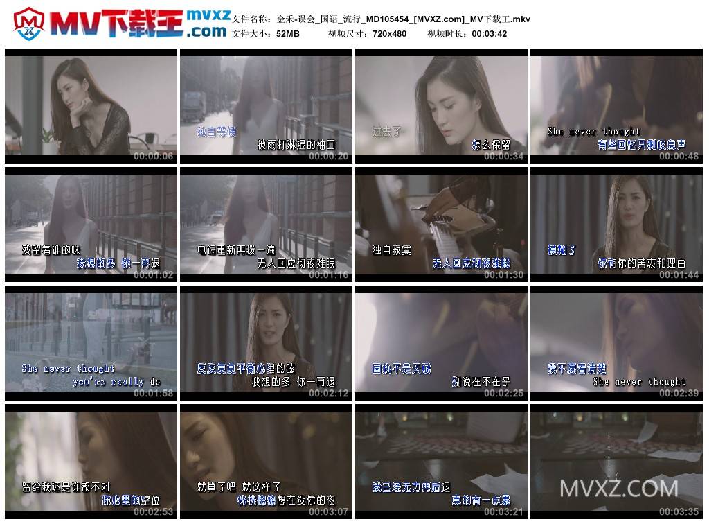 金禾-误会_国语_流行_MD105454